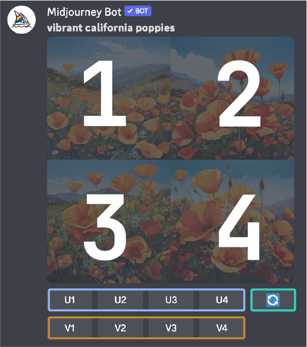 Select an Image